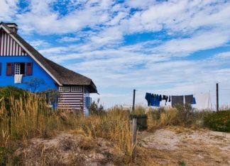 Aby zakupy były zawsze dobre