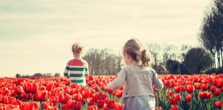 Ślimaki – zmora wszystkich działkowiczów