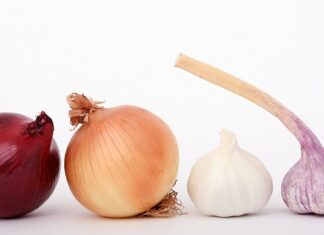 Co można posadzić obok cebuli?