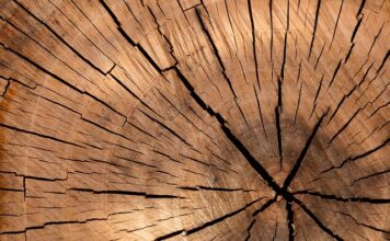 Jaka piła do cięcia drewna na opał?