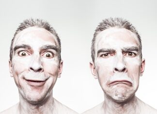 Co jedzą kosy na trawniku?