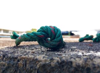 Jak się pisze słowo wierzy?