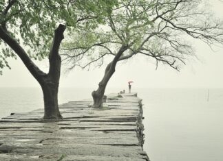 Ile kosztuje 1 krawężnik? Ile kosztuje 1 krawężnik?