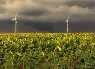 W jakiej kolejności dodawać chemię do basenu?