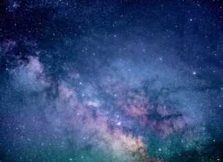 Co robią pszczoły w nocy?