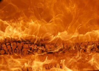 Jaka jest najpopularniejsza marka butów na świecie?