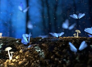 Jak prosto ciąć drewno?