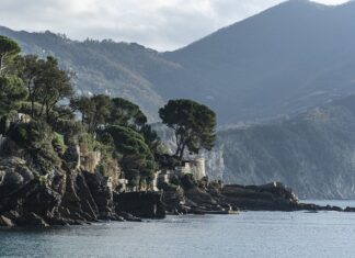 Ile kosztuje wyrobienie numeru domu?