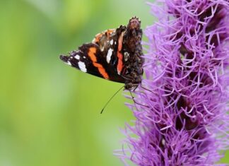 Ile za wycięcie otworu w blacie?