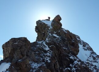 Kto zakłada czubek choinki?